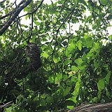 Costa Rica20150331-1702-0398